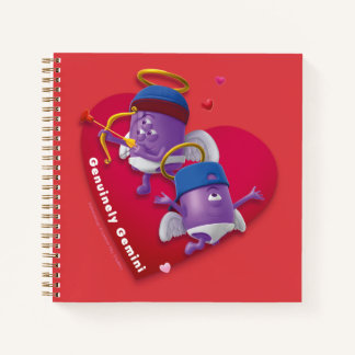 Notitieboek van de valentijnse voor Gemini