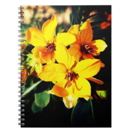 Notitieboek van de Vibrant Flowers