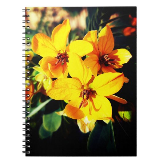 Notitieboek van de Vibrant Flowers (Voorkant)