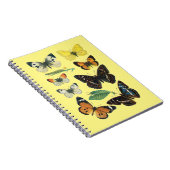 Notitieboek van de vlinder (Rechterzijde)