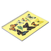 Notitieboek van de vlinder (Linkerzijde)