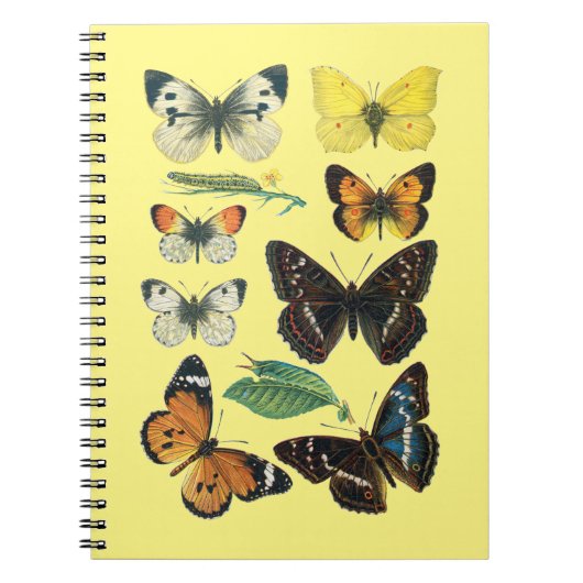 Notitieboek van de vlinder (Voorkant)