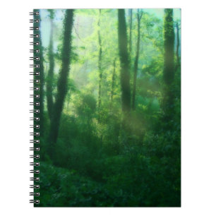 Notitieboek van de vruchtbaarheid