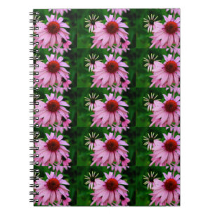 notitieboek van echinacea