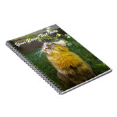 Notitieboek van edele Katten (Rechterzijde)