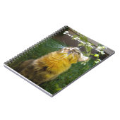 Notitieboek van edele Katten (Linkerzijde)