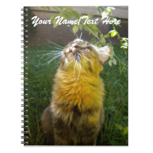 Notitieboek van edele Katten
