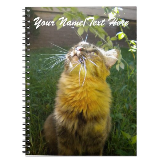 Notitieboek van edele Katten (Voorkant)