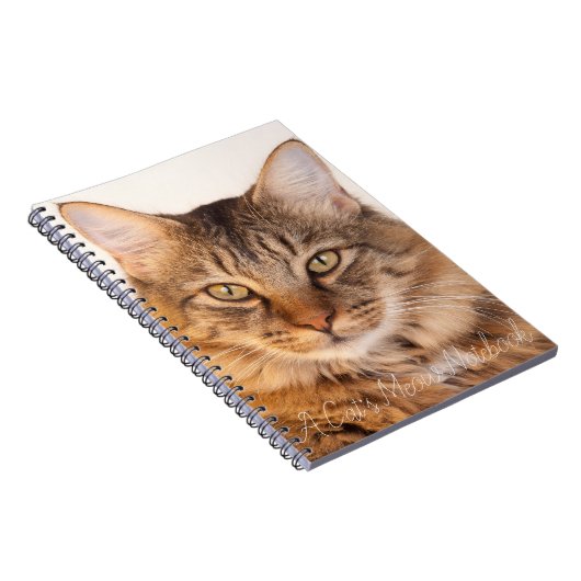 Notitieboek van een kattenhuis (Rechterzijde)
