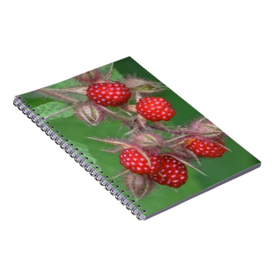 Notitieboek van frambozen (Rechterzijde)