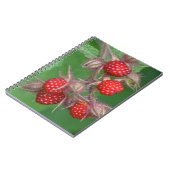 Notitieboek van frambozen (Linkerzijde)