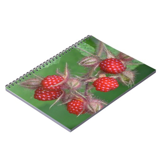 Notitieboek van frambozen (Linkerzijde)