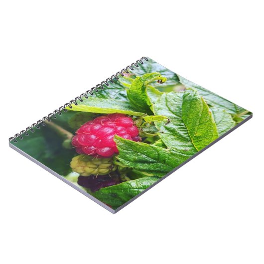 Notitieboek van frambozen (Linkerzijde)