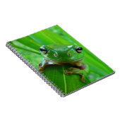 Notitieboek van groene boomkikker (Rechterzijde)