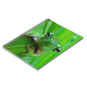 Notitieboek van groene boomkikker (Linkerzijde)