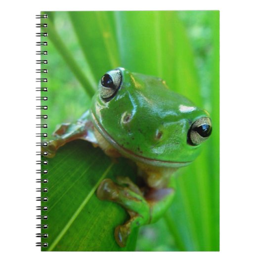 Notitieboek van groene boomkikker (Voorkant)