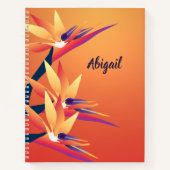 Notitieboek van het vogelgebied van het Paradijs (Voorkant)