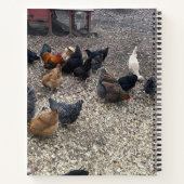 Notitieboek van kuikens (Achterkant)