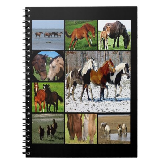 Notitieboek van kuilvoer voor paarden (Voorkant)