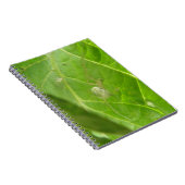 Notitieboek van Little Spider (Rechterzijde)