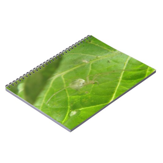 Notitieboek van Little Spider (Linkerzijde)