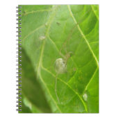 Notitieboek van Little Spider (Voorkant)