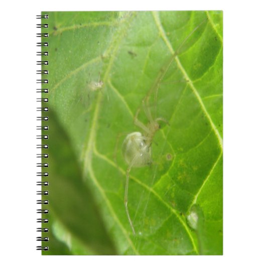 Notitieboek van Little Spider (Voorkant)