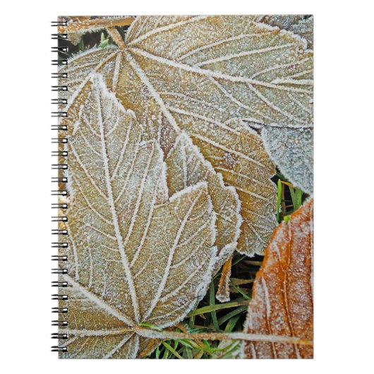 Notitieboek van Maple, bevroren (Voorkant)
