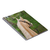 Notitieboek van paarden (Rechterzijde)