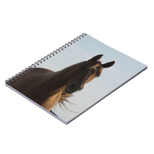 Notitieboek van paarden (Linkerzijde)