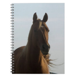 Notitieboek van paarden