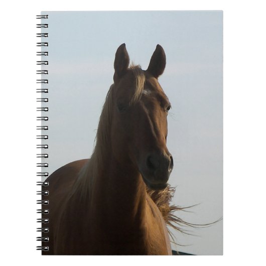 Notitieboek van paarden (Voorkant)
