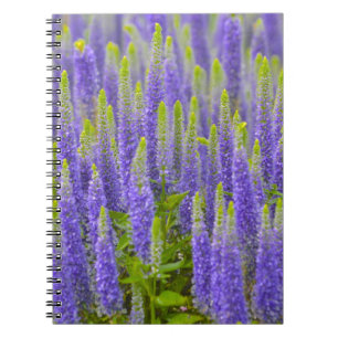 Notitieboek van Paarse bloemen