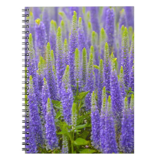 Notitieboek van Paarse bloemen (Voorkant)