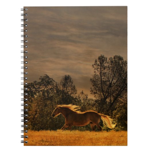 Notitieboek van Palomino-rondpaarden (Voorkant)