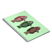 Notitieboek van papegaai (Rechterzijde)