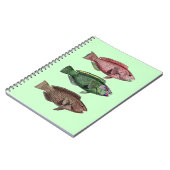 Notitieboek van papegaai (Linkerzijde)