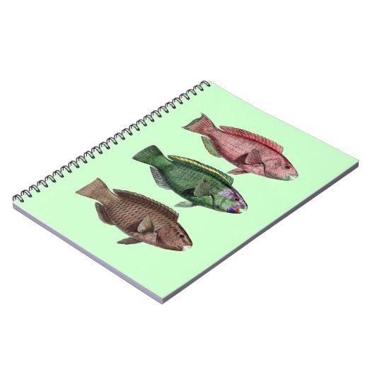 Notitieboek van papegaai (Linkerzijde)