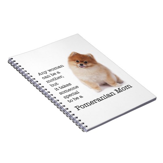 Notitieboek van pommeren (Rechterzijde)