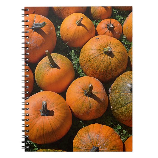 Notitieboek van pompoen (Voorkant)