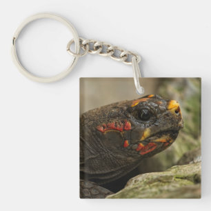 Notitieboek van rode tortoise sleutelhanger