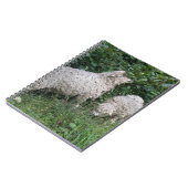 Notitieboek van schapenvlees met schouderblad (Linkerzijde)