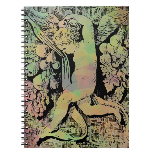 Notitieboek van sierCherub (Voorkant)
