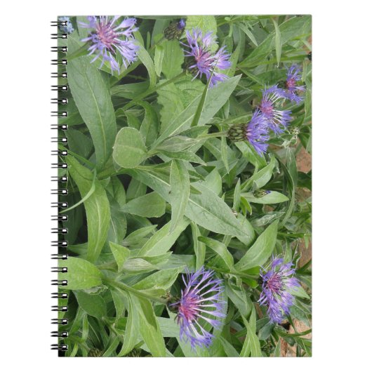 Notitieboek van snijbloemen (Voorkant)