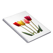 NOTITIEBOEK VAN TULP (Rechterzijde)