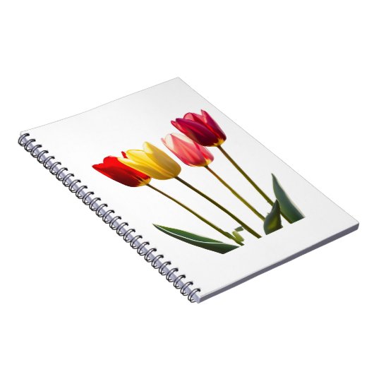 NOTITIEBOEK VAN TULP (Rechterzijde)