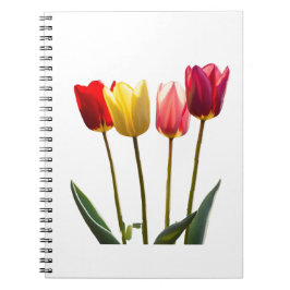 NOTITIEBOEK VAN TULP