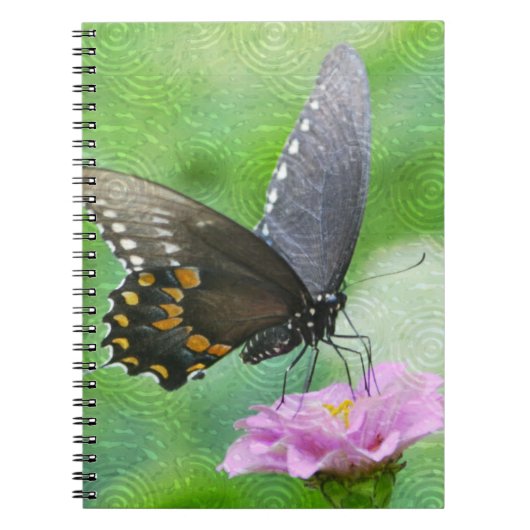 Notitieboek van vlinder (Voorkant)