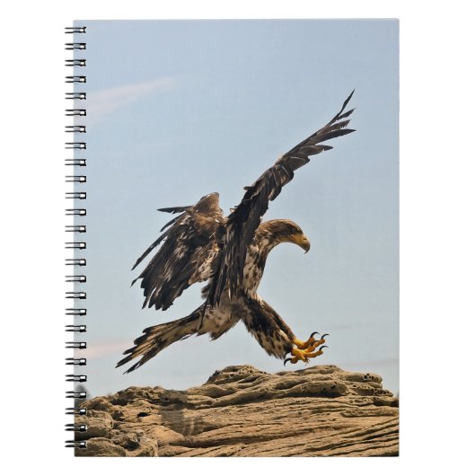 Notitieboek van vriesvogels (Voorkant)