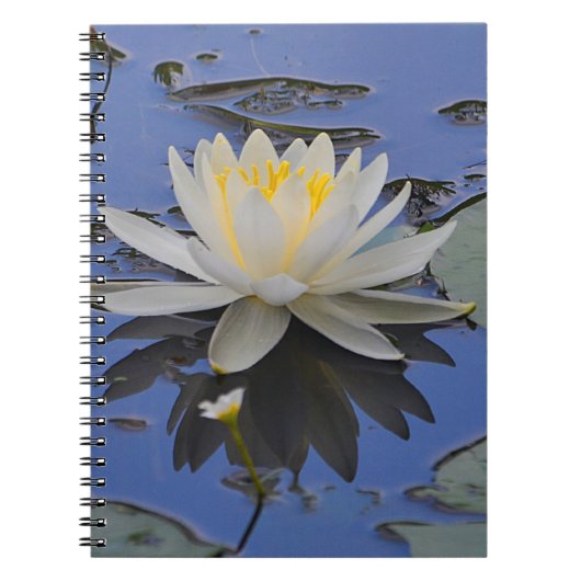 Notitieboek van waterlelie (Voorkant)